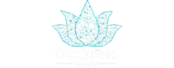 Oddiyana Ventures